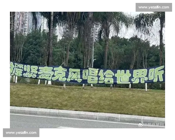 粉丝应援火力全开，总决赛现场气氛堪比春晚！